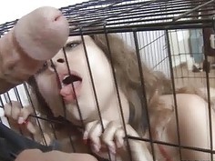 Rebel Lynn sucking a hard meat into her deep throa