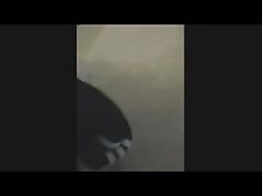 Anal pov creampie on a hookup first time they met sex cumshot american blowjob
